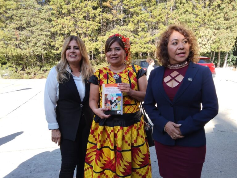 Propuesta de reforma al IEPS impulsada por Rosalinda Domínguez