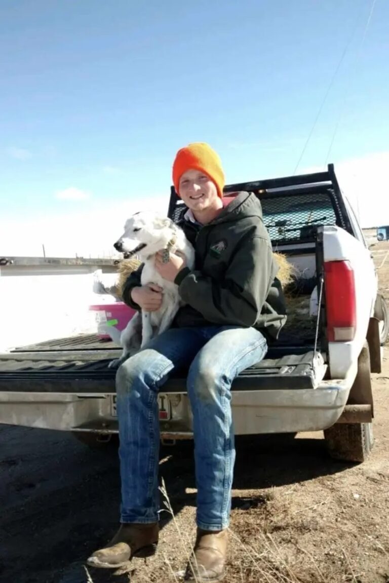 Perrita Patches regresa con su dueño tras 4 años perdida