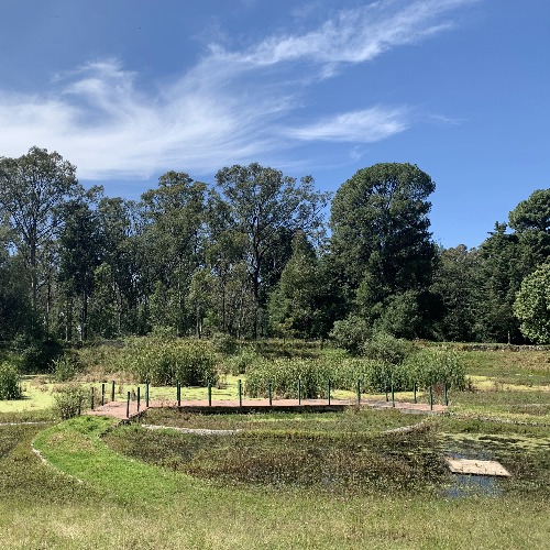 Villa Atl, pioneros en la preservación del Ajolote del Altiplano