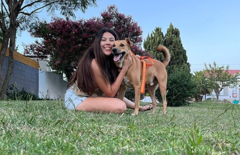 Activistas convocan a caminata pacífica en defensa de los animales