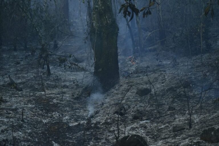 Incendios forestales en edomex causan olor a quemado en CDMX