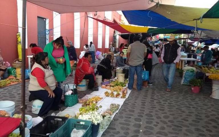 Paula Trade Hidalgo propone soluciones integrales para rescatar a Morelos de su situación actual.