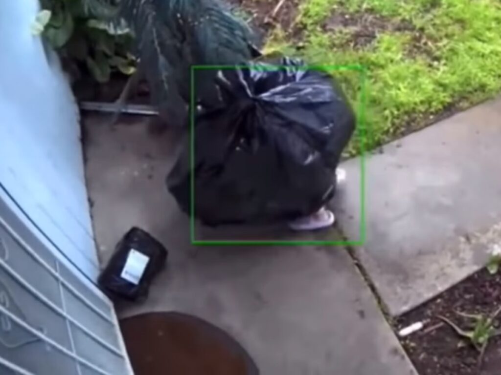 Ladrón se disfraza de bolsa de basura en EU