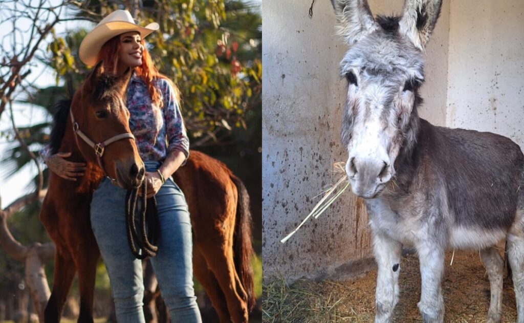 Burrita Camila llega a Cuacolandia; mantienen viva la lucha de Elena Larrea