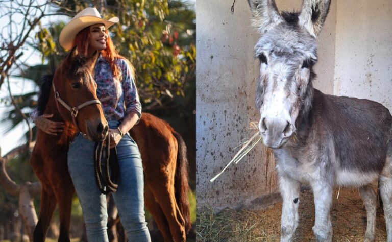 Burrita Camila llega a Cuacolandia; mantienen viva la lucha de Elena Larrea