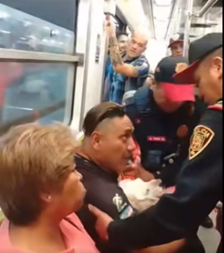 "Budi", perrito que sacaron policías del Metro se encuentra en buen estado