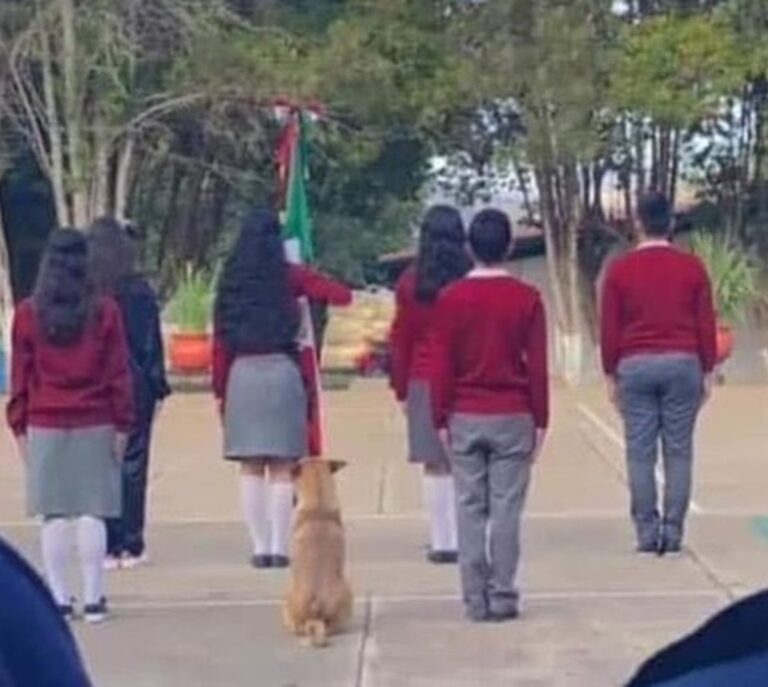Adoptan a perrito que le dio por “marchar” con escolta de escuela