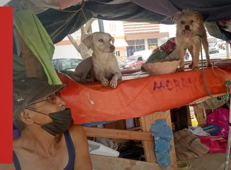 Hombre duerme con perritos en casa abandonada; pide ayuda