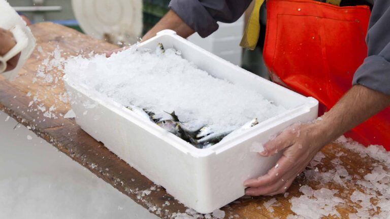 La Cosmopolitana refuerza la cadena de frío para inocuidad en alimentos