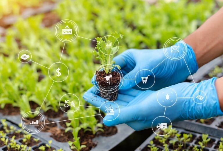 Sostenibilidad requiere economía circular: Daniel Madariaga Barrilado