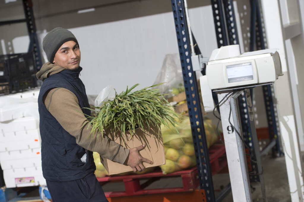 Corporativo Kosmos enfocados en la seguridad y salud de sus empleados