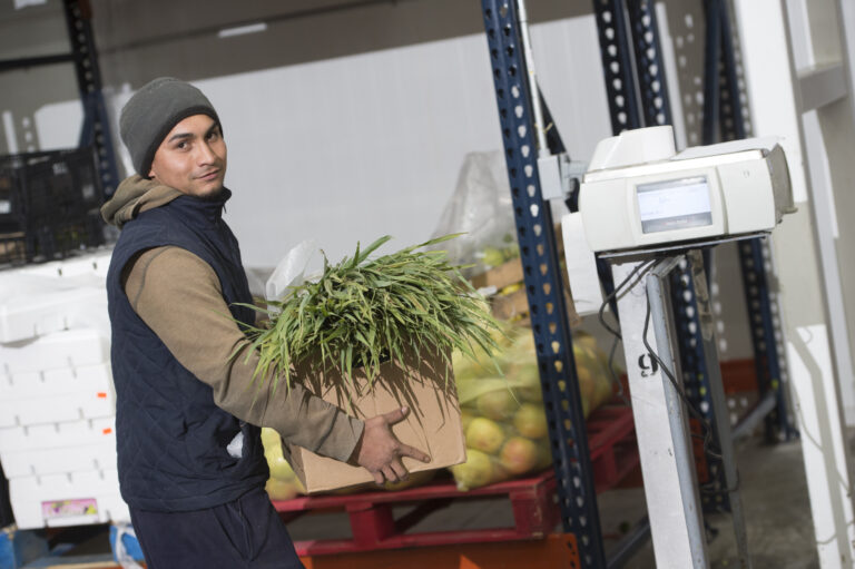 Corporativo Kosmos enfocados en la seguridad y salud de sus empleados