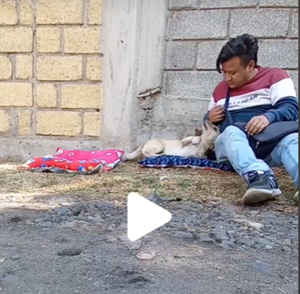 Hombre recicla “basura electoral” para beneficiar a perritos de la calle