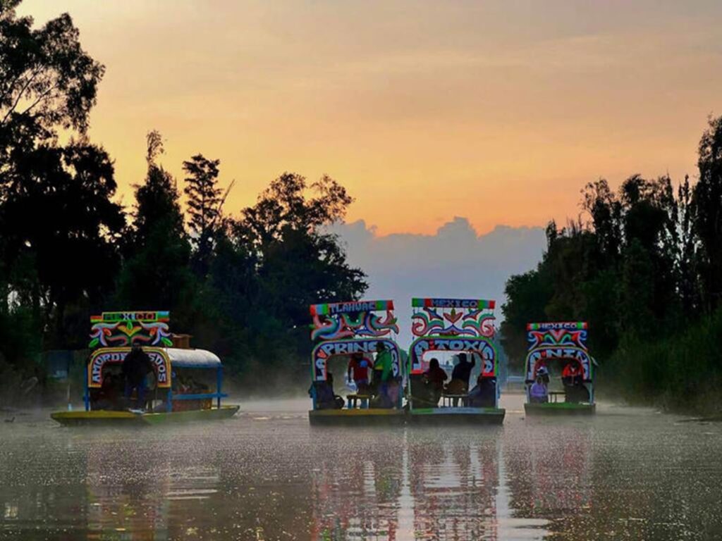 Así es un safari fotográfico por los canales de Tláhuac
