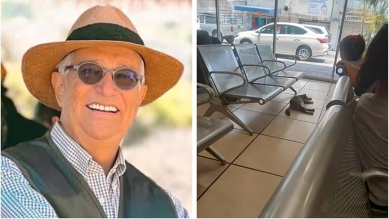 “Lo que dañe el gato lo pago yo”: Salinas Pliego