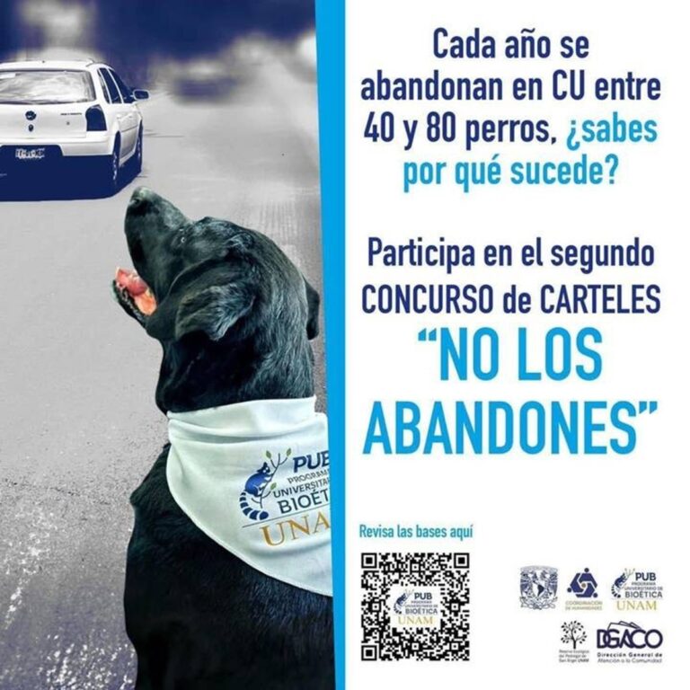 UNAM busca frenar el abandono de perros y gatos... con creatividad