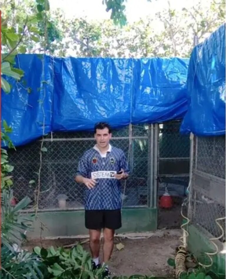 Hombre crea espacios para proteger a los animales del huracán Beryl