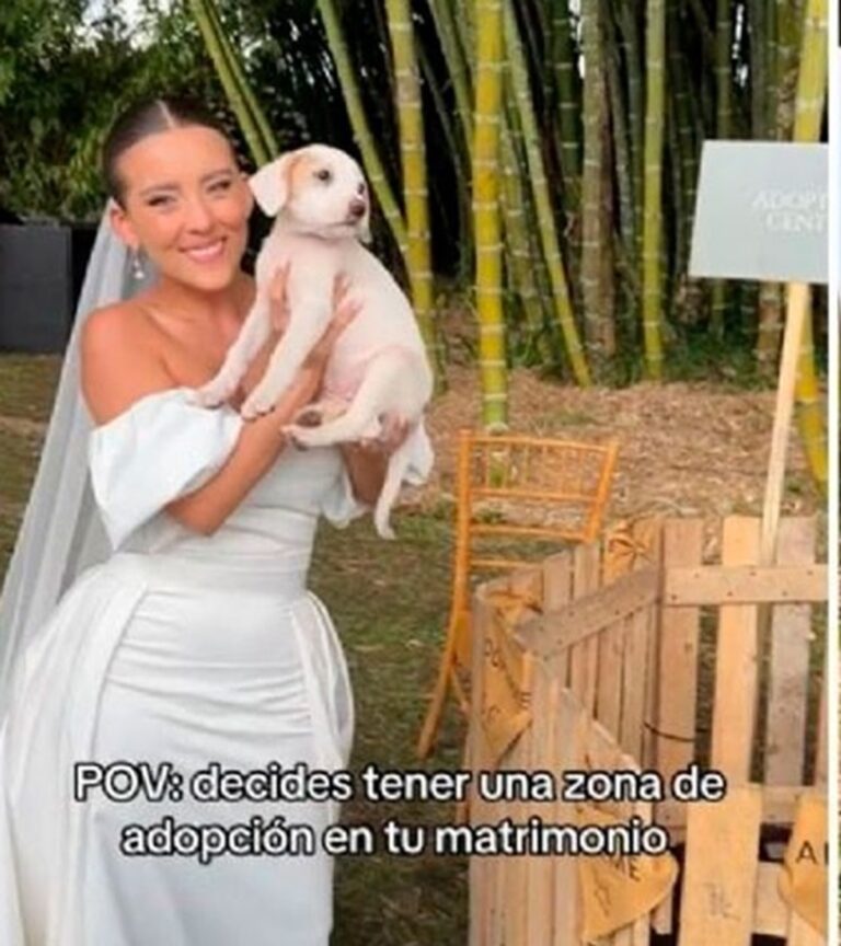 En su boda, novia abre adopción de “perritos huérfanos”