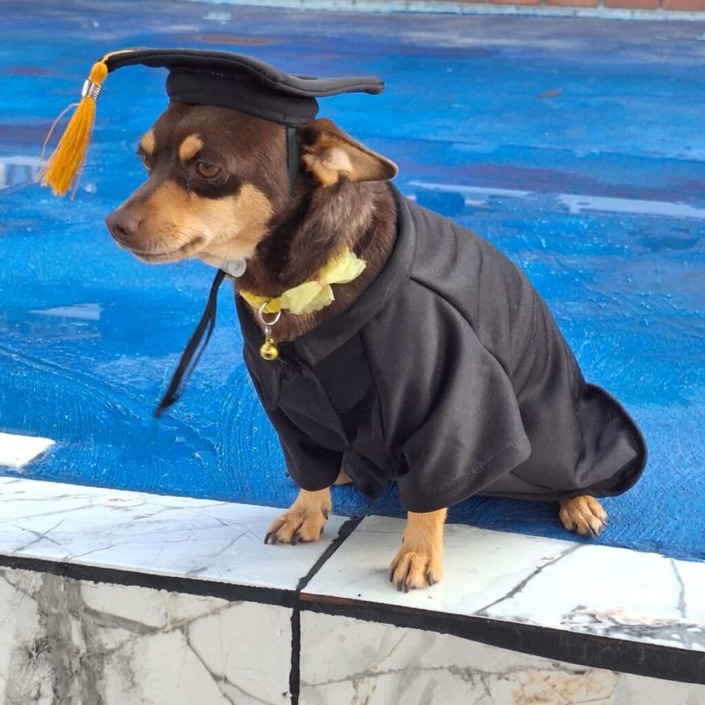 Canelo: el 'graduado estrella' del Cecyteg en Guanajuato