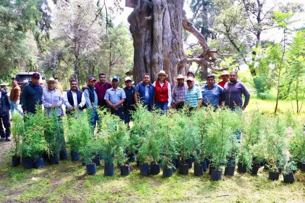 La adopción de árboles es por una ciudad más verde