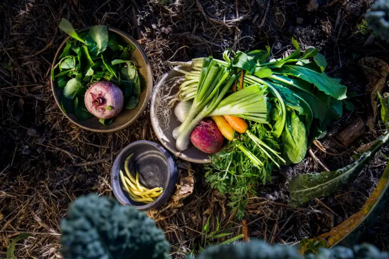 Ricardo José Haddad Musi destaca evolución sustentable en la cocina oaxaqueña