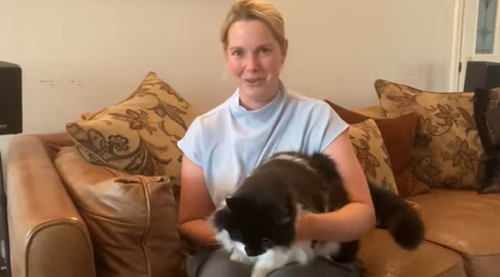 Gatito ‘resucita’ y regresa a su casa días después de ser cremado