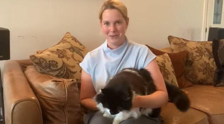 Gatito ‘resucita’ y regresa a su casa días después de ser cremado