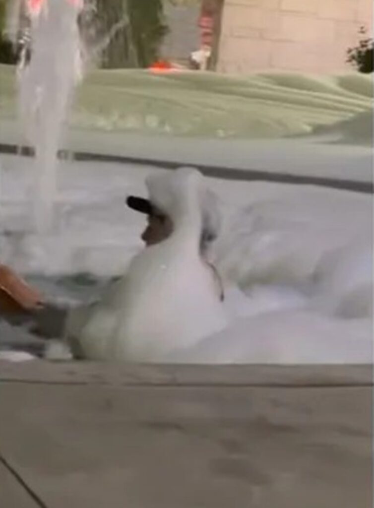 Hombre agrega jabón a fuente de Sinaloa y lo convierte en jacuzzi