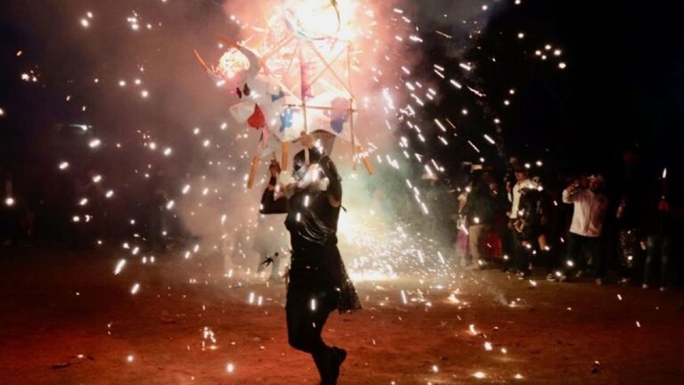 ¿Tu perro se espanta con la pirotécnia? La Policía te recomienda esto