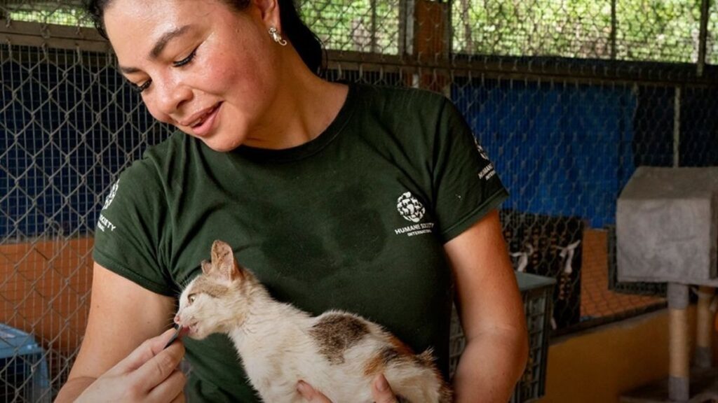 Veterinaria mexicana acudió a Vietnam para salvar a gatos