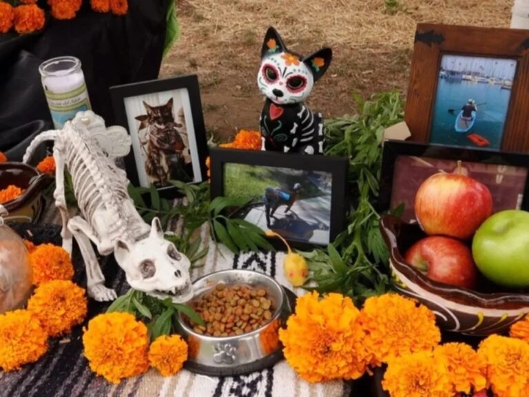 Conoces la fecha para poner ofrenda de Día de Muertos a tus mascotas