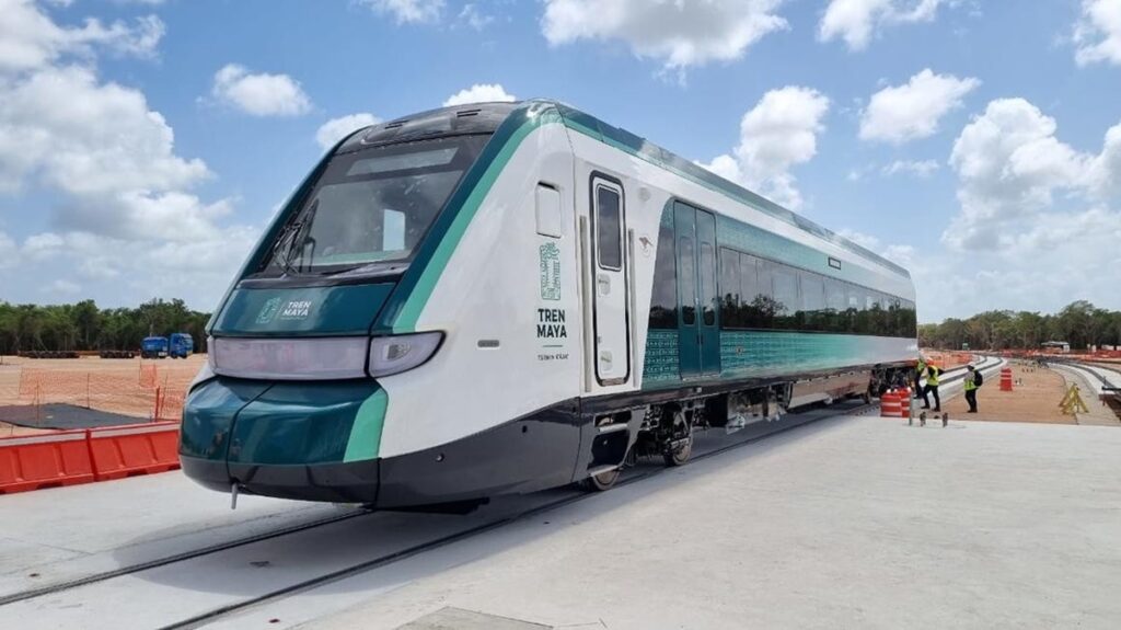 Organizaciones condenan manejo de fauna en el Tren Maya