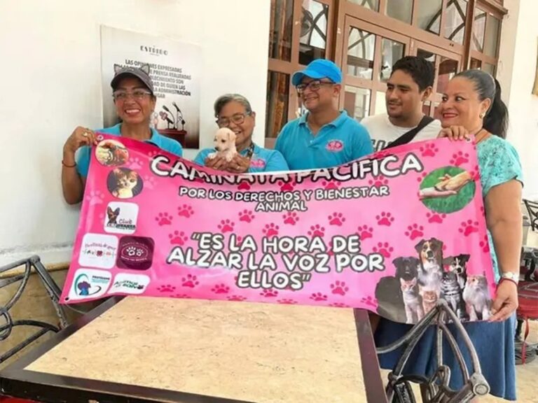 Aumentan mascotas extraviadas por culpa de la pirotecnia