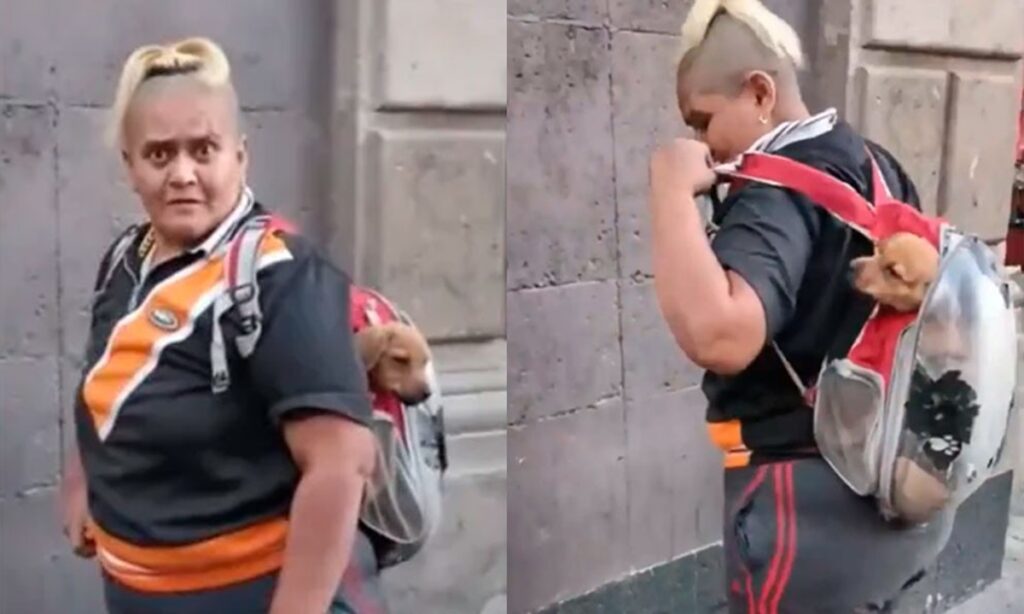 Mujer de la CDMX droga a su perro mientras pide dinero