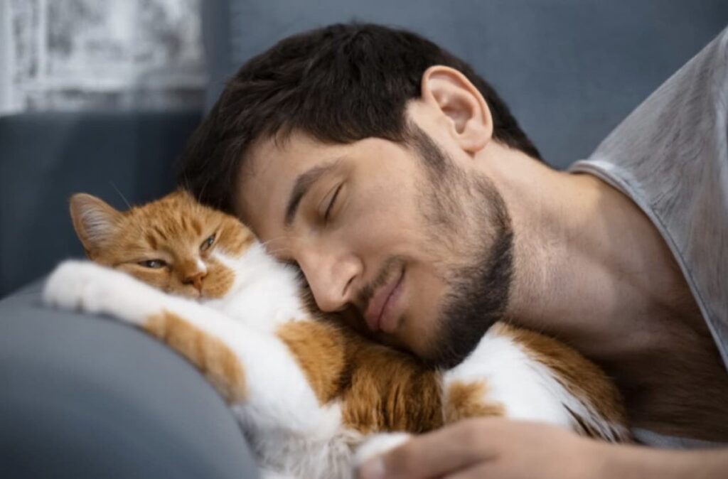 Hombre atiende más a su gato que a esposa; lo demanda