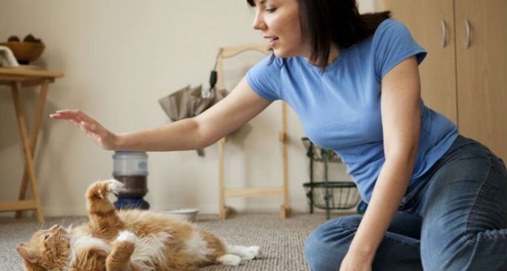 ¿Qué quiere decir que una persona sea una amante de los gatos?