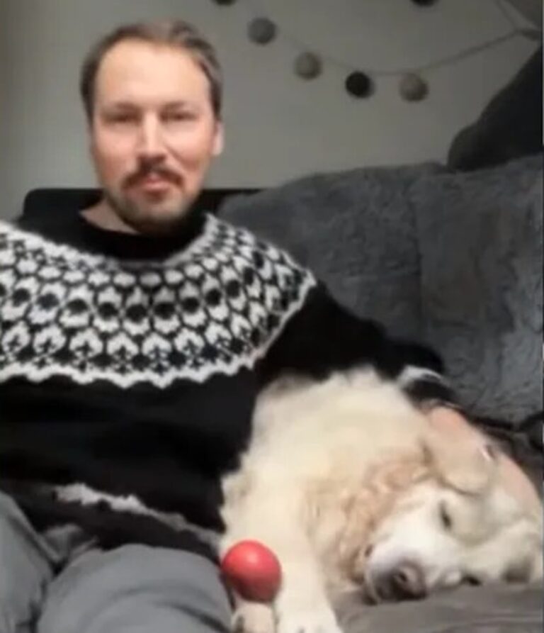 Así reaccionó el director de 'Flow' a su nominación al Oscar