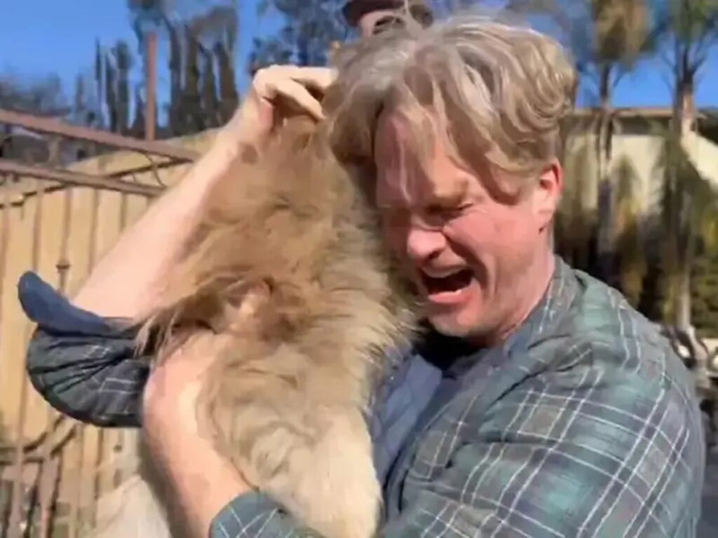 Perrito 'Oreo' desafió las llamas durante 5 días en Los Ángeles