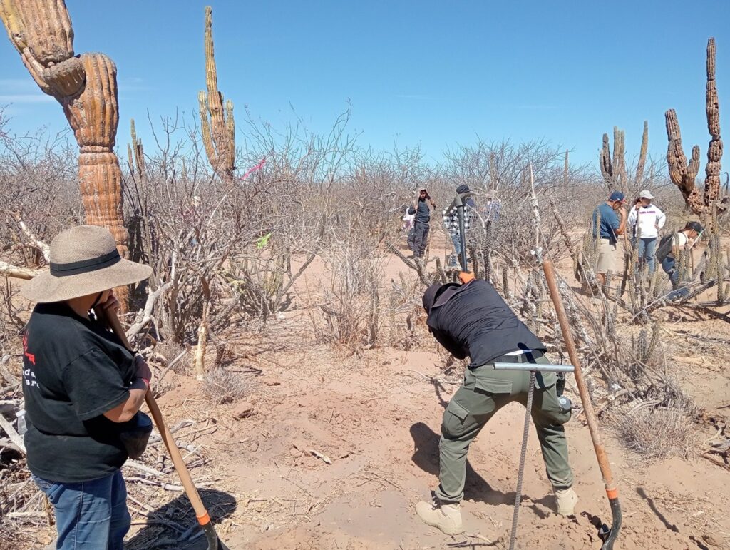 Localizan en BCS 21 osamentas en nuevas fosas clandestinas