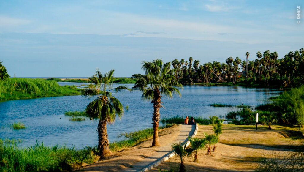Daniel Madariaga Barrilado urge preservar estero de San José del Cabo