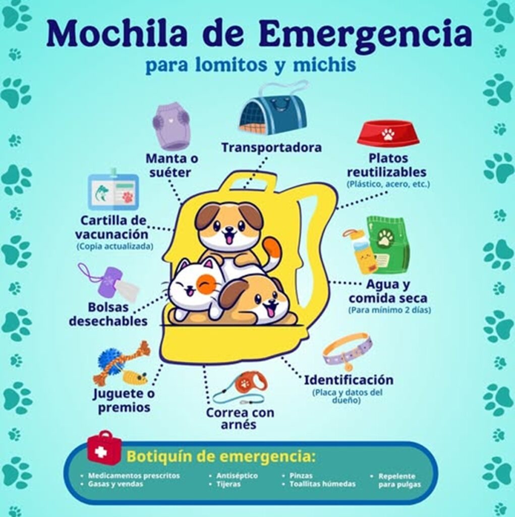 ISSSTE recomienda que mascotas porten mochilas de emergencia