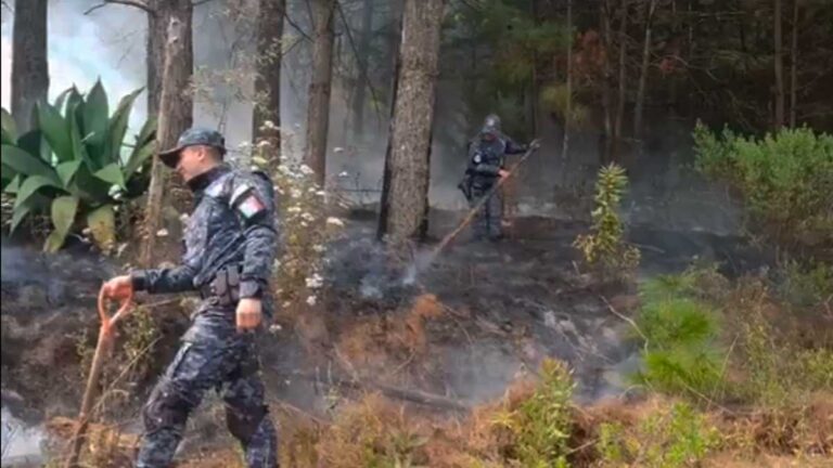 Controlan incendio en reserva de la mariposa monarca