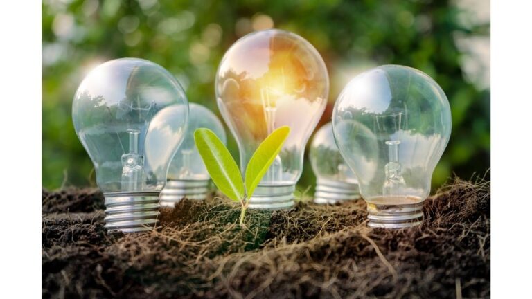 Apoya Salomón Issa Tafich independencia energética nacional