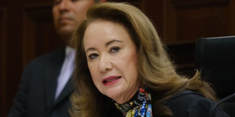 Esquivel Mossa enfatizó que la medida no constituye una prohibición absoluta, sino un criterio para privilegiar el bienestar colectivo.