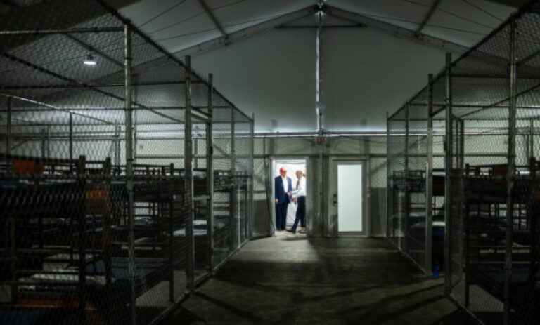 Ya están en México los hermanos detenidos en Alligator