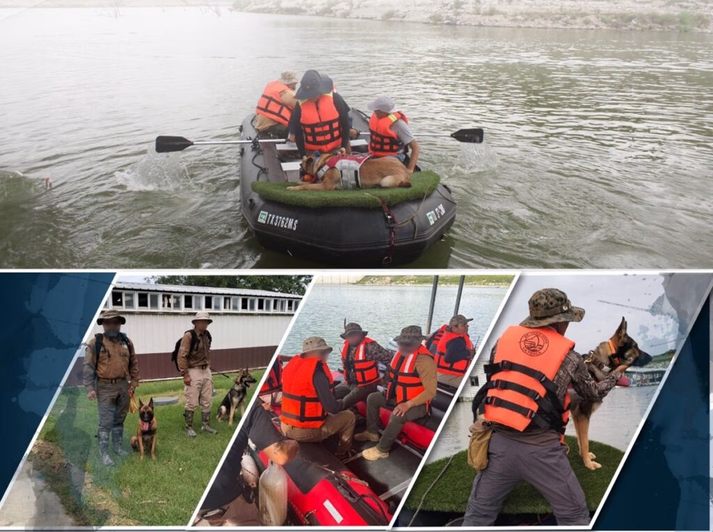 Binomios caninos “As” y “Rubio” viajaron a Texas para salvar vidas