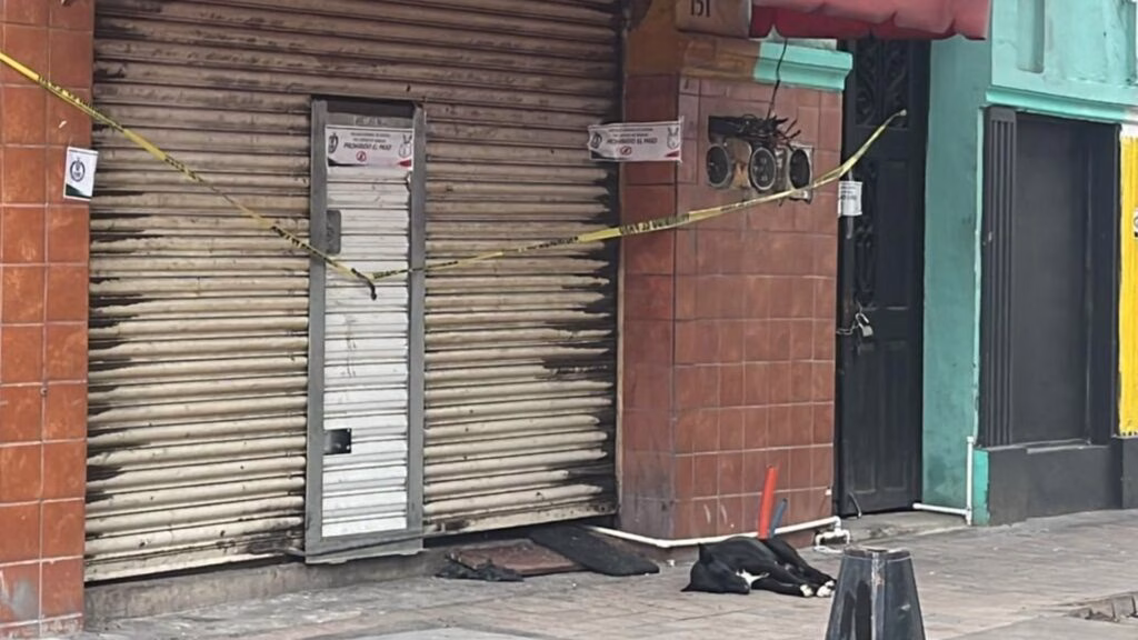 Perrito esperó tres días a su dueño asesinado frente a su negocio