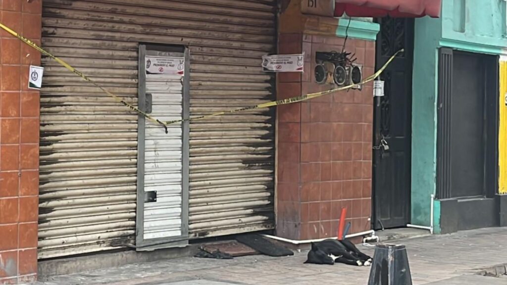 Perrito esperó tres días a su dueño asesinado frente a su negocio