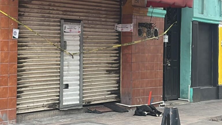 Perrito esperó tres días a su dueño asesinado frente a su negocio