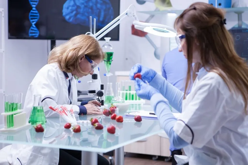 Grupo Kosmos destaca nanotecnología que prolonga frescura alimentaria